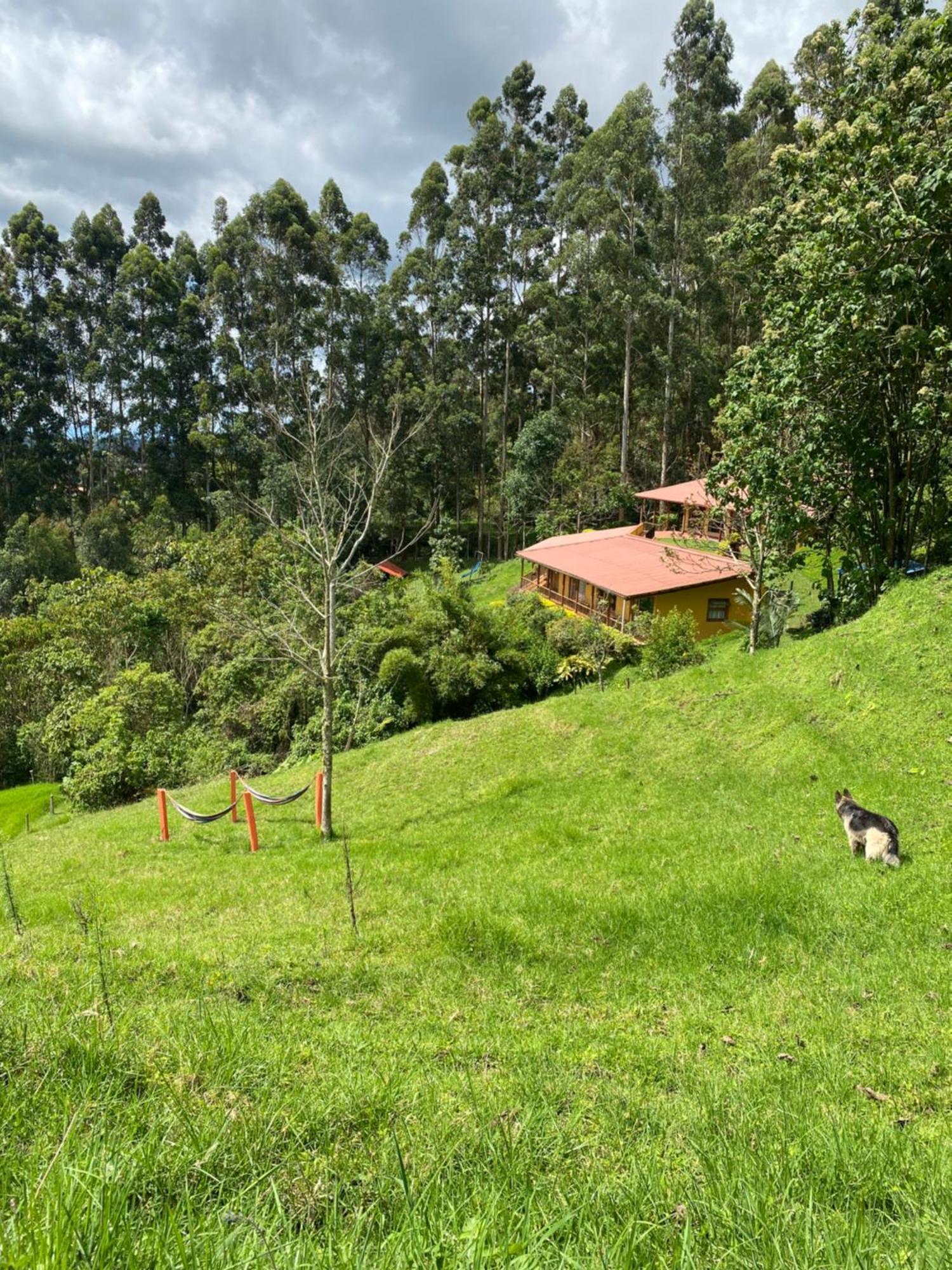 Ecoresort Gran Azul 萨兰托 外观 照片